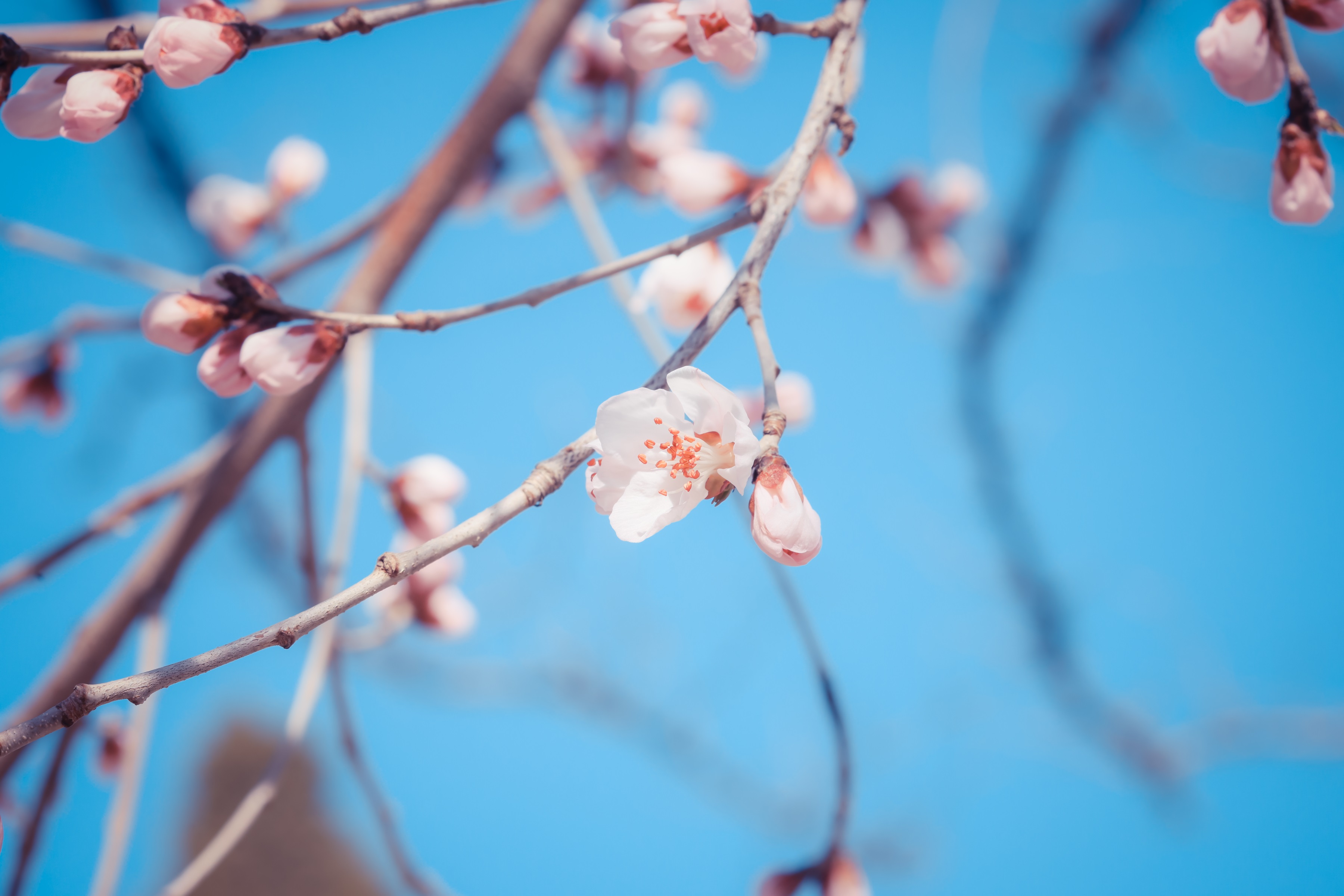 mg����ͻ���ݻ���(����)�ٷ���վ